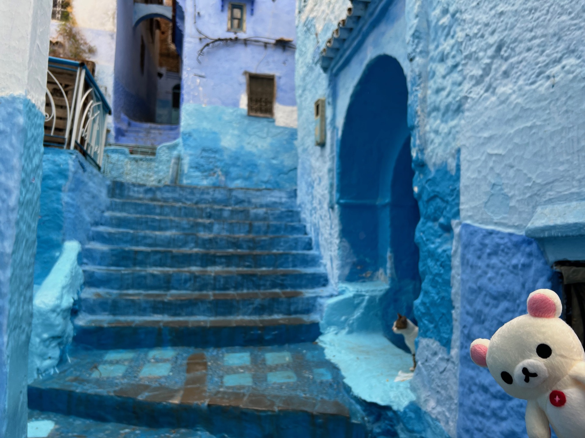 chefchaouen_8188